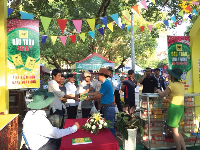 Bình Điền tưng bừng cùng Lễ hội Cà phê ảnh 3