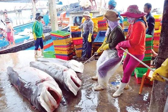 Mỏi mòn... đóng tàu vỏ thép