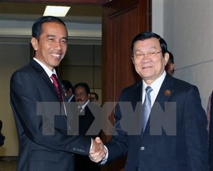 President Truong Tan Sang meets Indonesian President Joko Widodo (Photo: VNA) President Truong Tan Sang meets Indonesian President Joko Widodo (Photo: VNA)