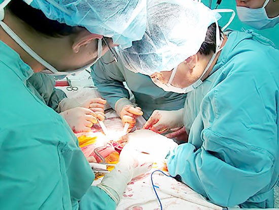 An organ transplant carried out in the People's Hospital 115 (Photo: SGGP) An organ transplant carried out in the People's Hospital 115 (Photo: SGGP)
