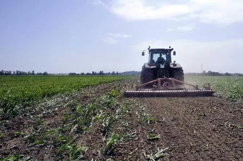 Các nước thành viên EU tự quyết định về thức ăn chăn nuôi biến đổi gien