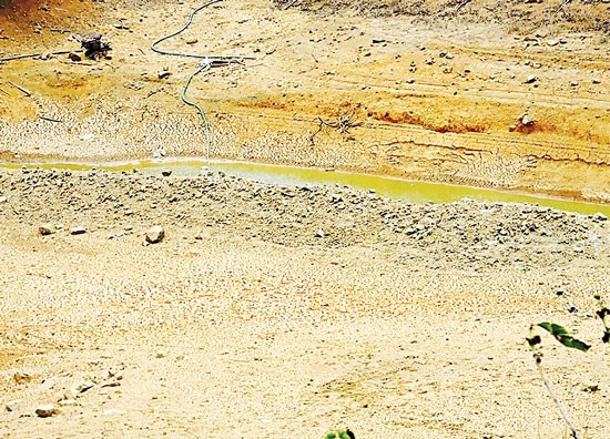 Binh Thuan's residents are meeting a serious drought. (Photo:SGGP)