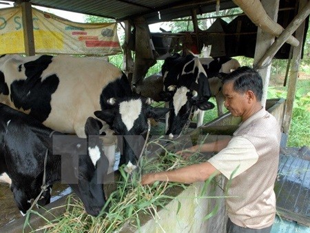 Many households have escaped poverty thanks to loans from poverty reduction funds. — VNA/VNS Photo Manh Linh Many households have escaped poverty thanks to loans from poverty reduction funds. — VNA/VNS Photo Manh Linh