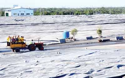 A view of Da Phuoc landfill site in HCMC (Photo: SGGP) A view of Da Phuoc landfill site in HCMC (Photo: SGGP)
