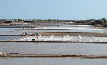 Ben Tre Province's salt producers work on salt field. Ben Tre, one of the largest salt producers in the Cuu Long (Mekong) Delta, has harvested 30 per cent more salt this season. — VNA/VNS Photo Mai Hung Thinh Ben Tre Province's salt producers work on salt field. Ben Tre, one of the largest salt producers in the Cuu Long (Mekong) Delta, has harvested 30 per cent more salt this season. — VNA/VNS Photo Mai Hung Thinh