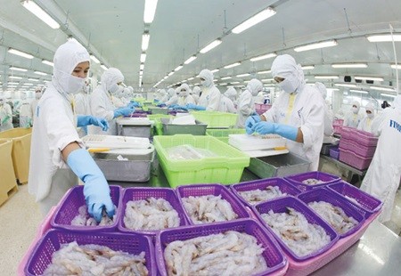 Workers process shrimp for export at Soc Trang Province's Sao Ta Foods JSC. Viet Nam's total exports were estimated at US$63.2 billion, up 7.3 per cent on the year. (Photo: VNA/VNS) Workers process shrimp for export at Soc Trang Province's Sao Ta Foods JSC. Viet Nam's total exports were estimated at US$63.2 billion, up 7.3 per cent on the year. (Photo: VNA/VNS)