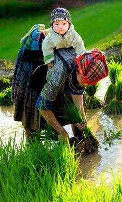 Following mother for working by Vo Van Hoang