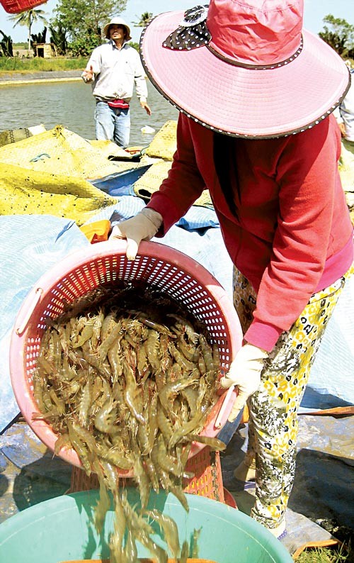 (Photo: SGGP) (Photo: SGGP)