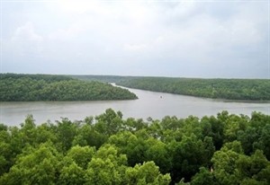 A number of tourist spots like Co To Island, Can Gio Biosphere Reserve and Mu Cang Chai mountainous commune are included in the list of restricted border areas (File Photo) A number of tourist spots like Co To Island, Can Gio Biosphere Reserve and Mu Cang Chai mountainous commune are included in the list of restricted border areas (File Photo)