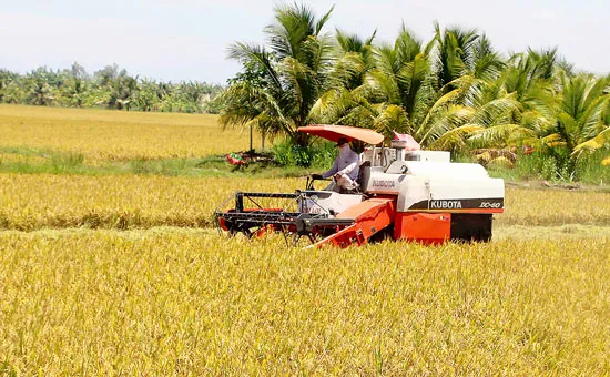 Dẫn vốn vào nông nghiệp