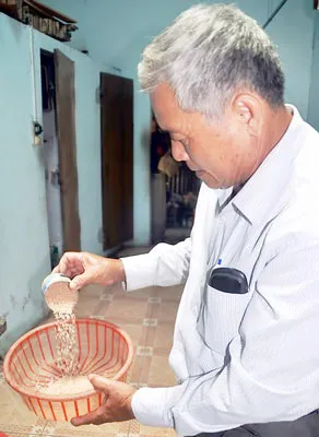 Lúa tồn kho vì tin đồn thất thiệt