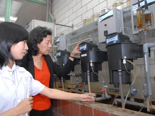 Cuối năm 2015, 100% hộ dân TPHCM có nước sạch