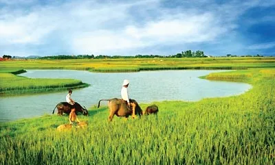 Không đề