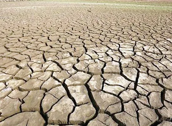 Đợt tuyệt chủng mới của Trái đất