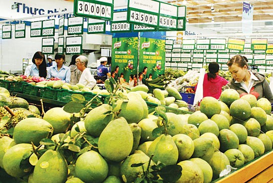 Green skin grapefruits are sold in a supermarket in HCMC (Photo: SGGP) Green skin grapefruits are sold in a supermarket in HCMC (Photo: SGGP)