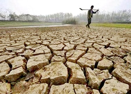 Locals face drought and hot weather. (Photo:SGGP) Locals face drought and hot weather. (Photo:SGGP)