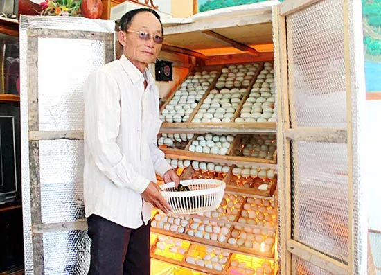 Làm giàu từ… vịt trời