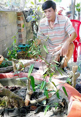 Nghiệm thu đề tài bảo tồn “thần dược” xáo tam phân