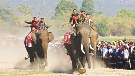 Elephant racing, one of the biggest festivals in the Central Highlands, takes place in the village of Jun in Dak Lak. Viet Nam plans to boost co-operation with four nations to develop its tourism sector. (Photo: VNA/VNS) Elephant racing, one of the biggest festivals in the Central Highlands, takes place in the village of Jun in Dak Lak. Viet Nam plans to boost co-operation with four nations to develop its tourism sector. (Photo: VNA/VNS)