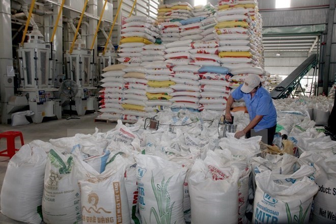 Processing rice for export (Source: VNA) Processing rice for export (Source: VNA)