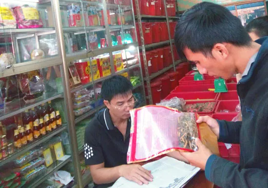 Thị trường đông trùng hạ thảo: Thật, giả lẫn lộn