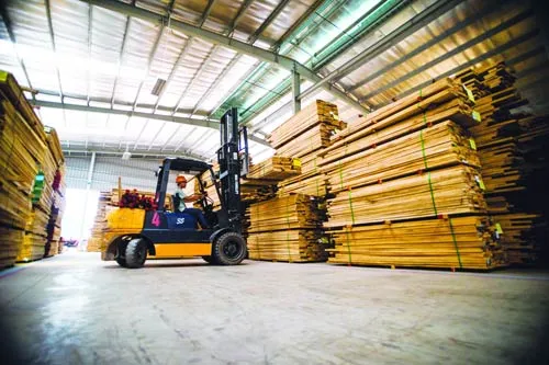 Ra mắt Trung tâm phân phối nguyên liệu gỗ nhập khẩu Tavico ảnh 1