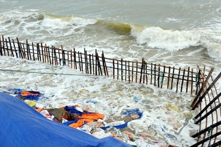Despite efforts to save the beach from erosion, big waves and strong winds have washed away a 300m section of Cua Dai beach, 5km from Hoi An, over the past four days this week. — VNS/Photo Hoai Nam Despite efforts to save the beach from erosion, big waves and strong winds have washed away a 300m section of Cua Dai beach, 5km from Hoi An, over the past four days this week. — VNS/Photo Hoai Nam