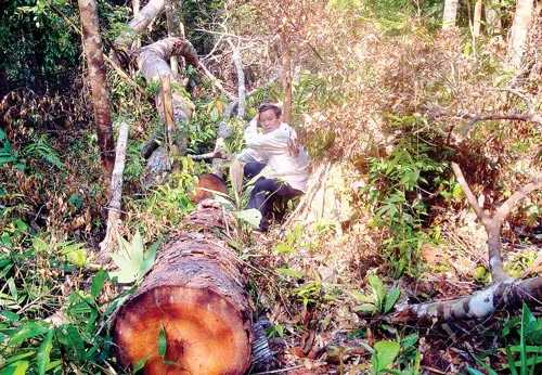 2 Bộ trưởng nhận khuyết điểm, trách nhiệm trước Quốc hội