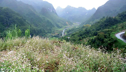 Nơi rẻo cao Hà Giang