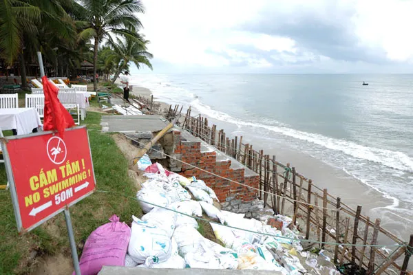 Cảnh hàng trăm người dân cứu bờ biển Cửa Đại đang sạt lở nghiêm trọng ảnh 4