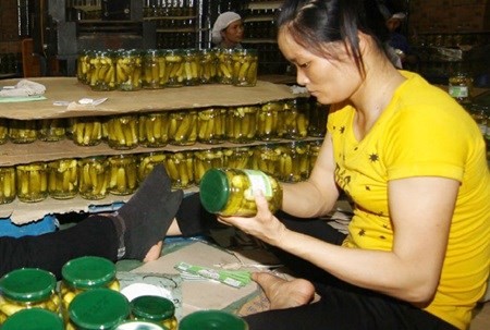 Workers of the GOC Food Processing Export Company check products before packaging. (Source: VNA) Workers of the GOC Food Processing Export Company check products before packaging. (Source: VNA)