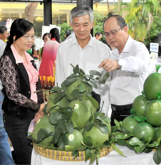 TPHCM liên kết 30 tỉnh, thành đẩy mạnh sản xuất và tiêu thụ hàng nông sản