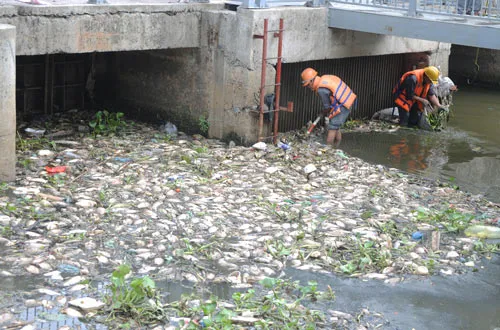 Tăng cường giải pháp bảo vệ đa dạng sinh học