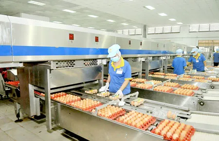 Doanh nghiệp Việt nắm bắt cơ hội chinh phục thị trường