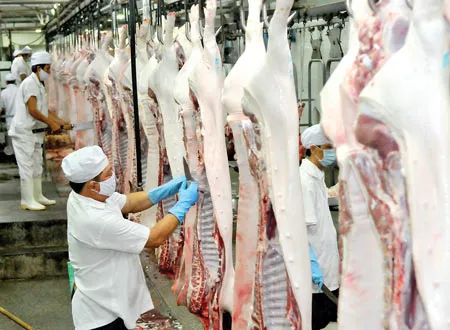 Quy trình chăn nuôi, giết mổ heo đạt chuẩn VietGAP ảnh 2 Quy trình chăn nuôi, giết mổ heo đạt chuẩn VietGAP ảnh 2