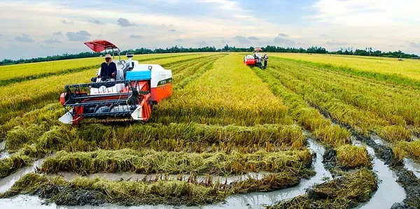 Đột phá phát triển kinh tế - xã hội