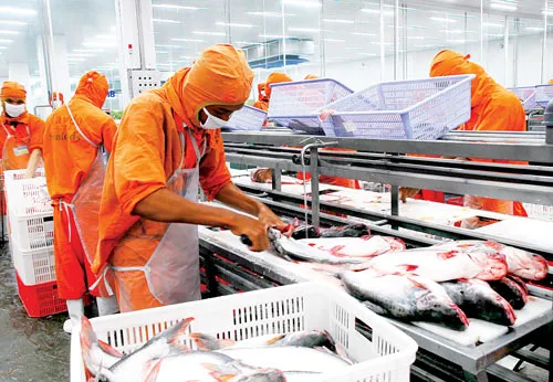 Xuất khẩu thủy sản 2016 - Nỗ lực vượt khó