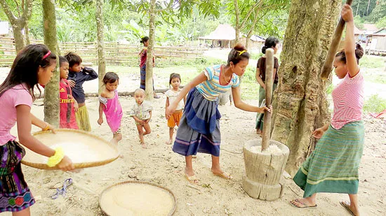 Săn hàng bản địa làm quà tết