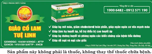 Trà Giảo cổ lam - Món quà Tết cho ước vọng sức khỏe ảnh 2 Trà Giảo cổ lam - Món quà Tết cho ước vọng sức khỏe ảnh 2
