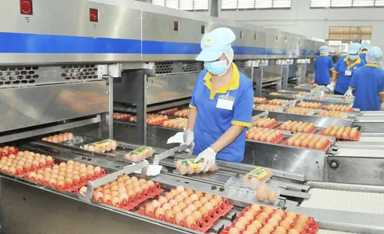 Khẩn trương chuẩn bị hàng tết ảnh 4 Khẩn trương chuẩn bị hàng tết ảnh 4