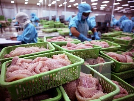 Tra fish is one of main products exported to the US. In 2015, the total value of tra fish exports reached $1.6 billion, which was 10 per cent lower than the value in 2014. – Photo VNA Tra fish is one of main products exported to the US. In 2015, the total value of tra fish exports reached $1.6 billion, which was 10 per cent lower than the value in 2014. – Photo VNA