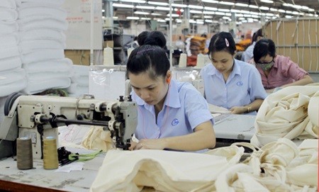 All workers at Binh Thanh Import-Export Production and Trade Joint Stock Company came back to work after the Tet (Lunar New Year) holiday. (Photo: VNA/VNS) All workers at Binh Thanh Import-Export Production and Trade Joint Stock Company came back to work after the Tet (Lunar New Year) holiday. (Photo: VNA/VNS)