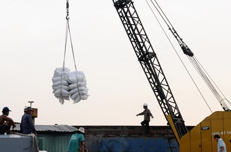 Workers load rice onto the vessel for exporting in the Mekong Delta. (Photo: SGGP) Workers load rice onto the vessel for exporting in the Mekong Delta. (Photo: SGGP)