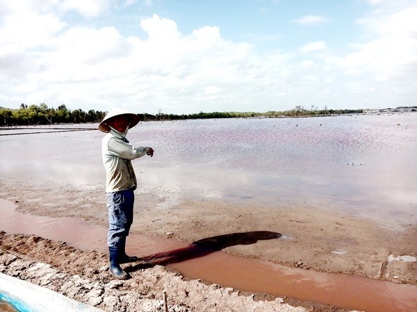 Salt evaporation ponds in Tan Hai Commune are surrounded by wastewater. (Photo: SGGP) Salt evaporation ponds in Tan Hai Commune are surrounded by wastewater. (Photo: SGGP)