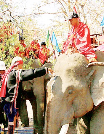 18 elephants take part in sport contest -Photo: SGGP 18 elephants take part in sport contest -Photo: SGGP
