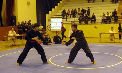 Giải vô địch các CLB Pencak Silat toàn quốc năm 2016: 306 VĐV tham dự ảnh 1 Giải vô địch các CLB Pencak Silat toàn quốc năm 2016: 306 VĐV tham dự ảnh 1