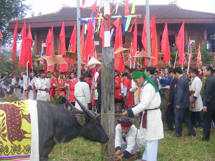 Lễ hội Đền Chín Gian năm nay, trâu được trả về