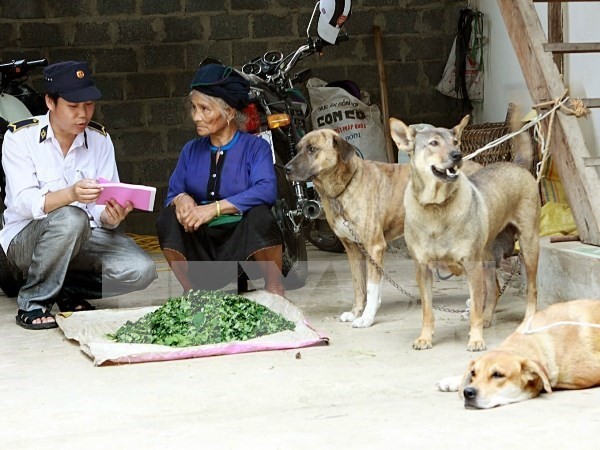 (Photo: VNA) (Photo: VNA)