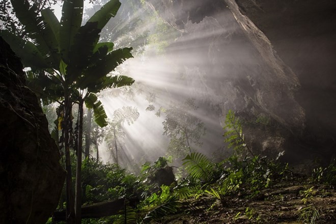 Sun shines in the Adam Garden in the cave (Source: VNA) Sun shines in the Adam Garden in the cave (Source: VNA)