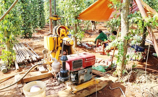 Well drilling to get irrigation water for pepper plants in Quang Tri province (Photo: SGGP) Well drilling to get irrigation water for pepper plants in Quang Tri province (Photo: SGGP)